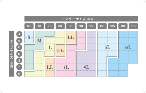 ジニエブラシリーズ_サイズ表.jpg